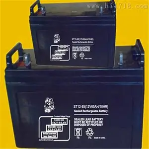 ��ʨ����ST12-100 12V100AH�ܴ���2022������