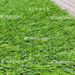 厦门草皮 绿草皮 假草皮 人造草坪地毯帐篷露营基地地毯