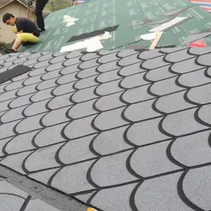 �������������� ���������������ӹ� ������������ѯ����