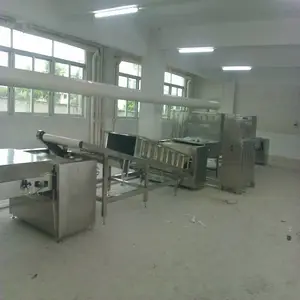 ȫ�Զ�������ˮ�߽�����ɱ���/������΢��ɱ���豸/����΢��ɱ���/ɱ���һЩ�ص�