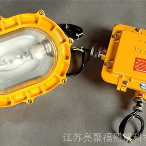 BFC8120�ڳ�����ǿ�ⷺ��� ���̷���Ӧ���� ���������150W