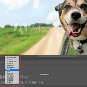 深圳代理PS CC版按年授权