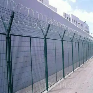 ***��ɫ������ ***����˿������ ***������ʵ�峧��
