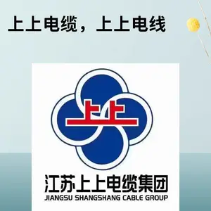 上上电缆 ZA-BV2.5平方铜芯阻燃PVC绝缘家装电线