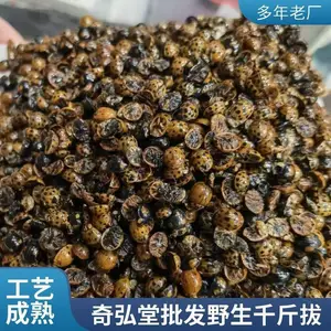 ��ҩ������ǧ��� ���汣������ֱ�� ***��