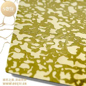 大型酒店电梯装潢高要求不锈钢装饰蚀刻板