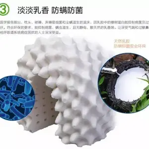泰国进口原产天乳胶枕 IPARA Latex高低颈椎按摩枕
