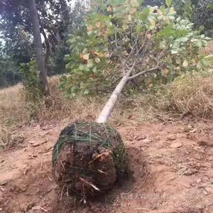 6���ְ������۸���� ���ɻ�
