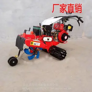 �賬��д󽪿����� �����԰���������� С����԰������
