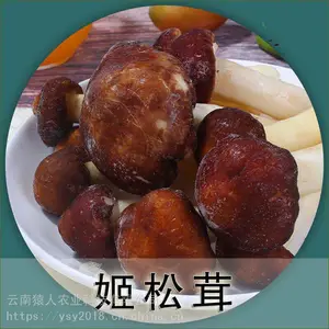 高原食材 姬松茸一件1.5公斤 净重2斤 酒店 餐馆 家庭 一件代发
