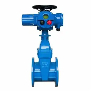 宝曼 阀门电动头 型号DZW30DZW20DZT60电动闸阀执行器成套设备