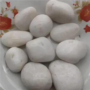 ��Ӧ5-8���״���ɫ����ʯ �������� ԰�־��� ����װ�� ��������