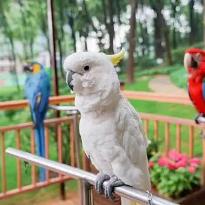 �ȳ�չ�����Ҳ�ʢ�Ƽ���ʨ���ݳ��⶯��չ���޹�˾