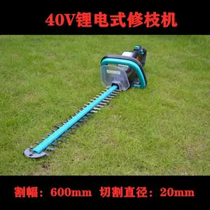 ���ʽ��֦ ���ʽ��֦�� ����԰����֦�� ��֦�޼����������