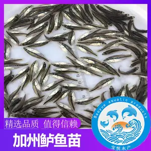 ���������糡������������ֳ���� ������������������