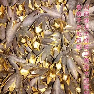 香椿子价格? 红油香椿子价格? 香椿子批发价格?