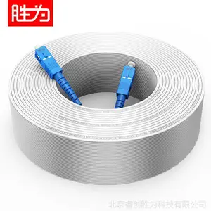 胜为 1芯2钢丝 电信级室内单模单芯 皮线光纤跳线 100米