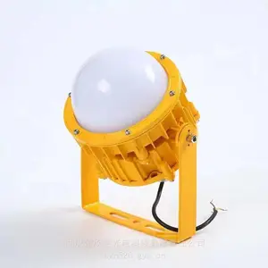 LED������GB8035 �ڵ�LED������ 220V50W������ҩ���ֿ⳧����