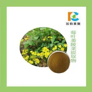 鑾撳彾濮旈櫟鑿滄彁鍙栫墿10:1 20:1 姘存彁 閱囨彁 鍙鍋