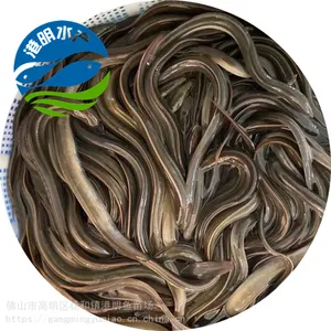 �����е�ˮ������������ ����ʽ������ֳ���ػ����� ����ˮ����Ӧ