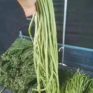 西安有机新鲜蔬菜配送_一站式高效无忧服务