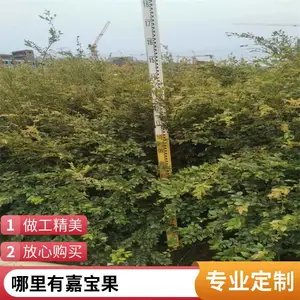 �α�������۸� �����α��� �α�������