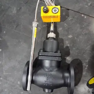ZZWP-16C ����ʽ�¶ȷ�������f�� DN15 �¿ط� �Զ�����
