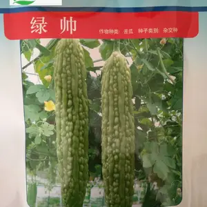 供应绿帅苦瓜种子 杂交苦瓜种子 种子种苗 寿光蔬菜种子 种苗