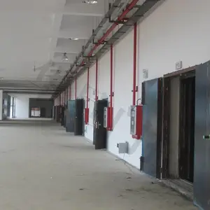 ���ָ��ʸ����š������ų���