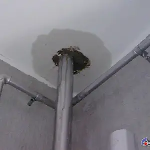 梅州卫生间防水补漏施工 采用不砸砖漏水维修技术(省事更环保)