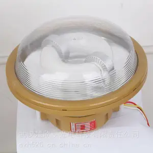 防爆灯125W 防爆配照型LED工矿灯 防爆无极灯高频BEW-125W