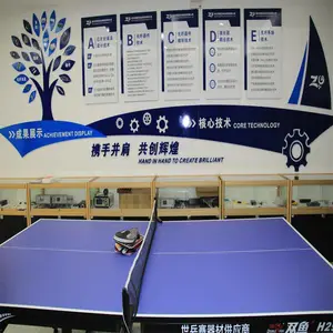 四川梓冠光电科技有限公司