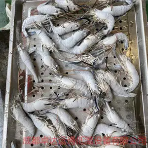 ާ��Һ���ٶ��豸�ӹ�/Һ���䶳�豸/���ʱ����ٶ�����