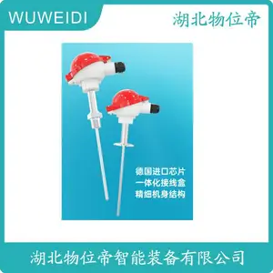 WRNK-430 高温耐磨热电偶 B型温度传感器 WWD 汉开