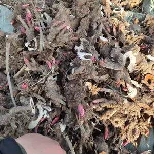 ����ѿͷ����������ֲ��ϸ��ַ