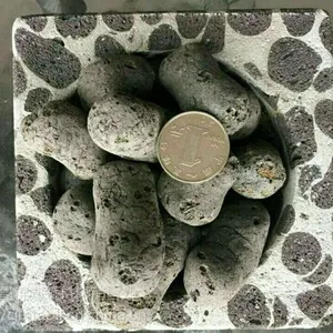 �����������߱���ϱ���Ʒ��������***������