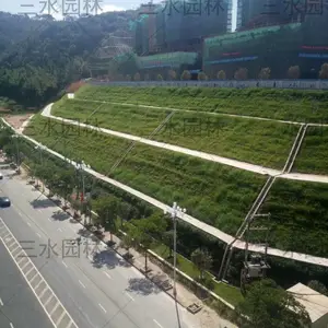 广州高速边坡绿化铺植生袋种草籽施工平方价