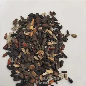 �����²��߲����� �������տ����� ��ѿ*** �۸���� ***