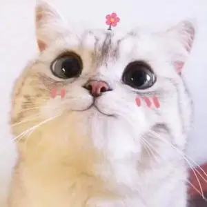�ൺ�������˹�˾��ַ�绰