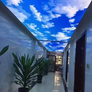 �ͲĿ������� ����˫��LED���� ͸��Ĥ ��Ĥ�컨 �ɶ��Ƽӹ�