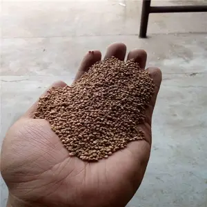 ��ï���ǹ����� �ӿǺ��ҿ����϶���Ǯһ��