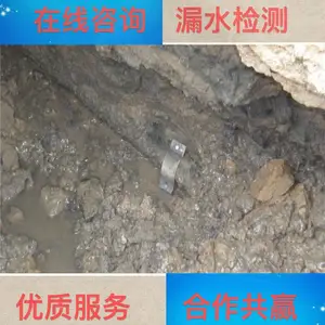 �����̳��ܵ���ѹ��������ĸ�***