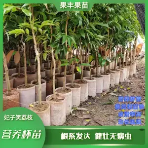 ����Ц��֦�޽ӱ��罡׳�޲���ͼƬ��ֲ��������