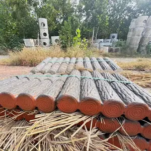 ΰ�꽨�����е������ײ������·��ʯ ��԰Χ��ˮ���ľ��׮ʯ