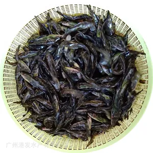 �۷����糡 �������ۻ�������� �ƹ��� ������ �߲������ܶ� ���ɻ�