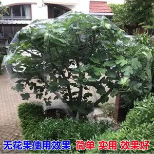 ���ѹ�԰�������������� �������ܷ������� �ɶ���
