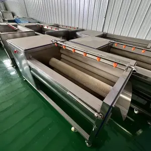 毛辊清洗机 根茎蔬菜土豆红薯去皮清洗机 猪蹄生蚝中药材毛刷清洗机