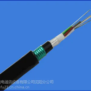 GYTA53����24о GYTA53-24B1������� ����װ��·ֱ�����˫��װ˫���� ����ֱ��