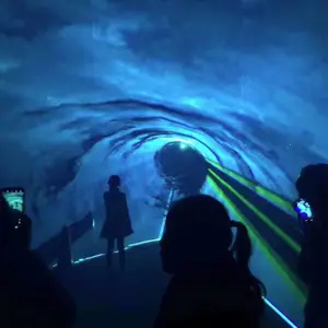 大型商业用途北极之光 灯光造型设备租赁