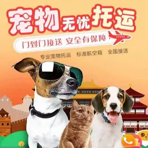 �ൺ�������˹�˾��ַ�绰